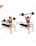 Barbell Seated Behind Head Military Press (female)