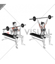 Barbell Seated Overhead Press (female)