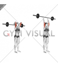 Barbell Standing Overhead Triceps Extension (female)