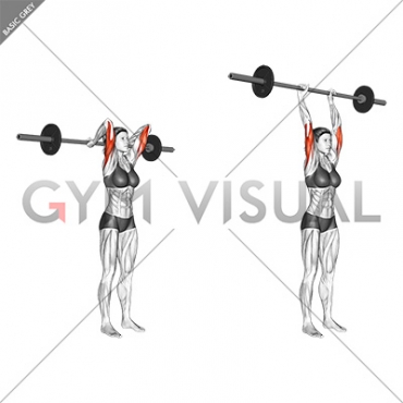 Barbell Standing Overhead Triceps Extension (female)