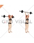 Barbell Standing Overhead Triceps Extension (female)