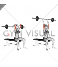 Barbell Seated Overhead Triceps Extension (female)