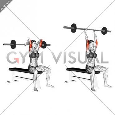 Barbell Seated Overhead Triceps Extension (female)