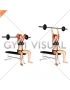 Barbell Seated Overhead Triceps Extension (female)