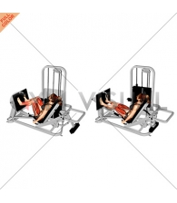 Lever Seated Leg Press (female)