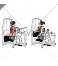 Lever Reverse Grip Vertical Row (female)