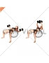 Dumbbell Fly on Exercise Ball (female)