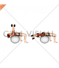 Dumbbell Pullover on Exercise Ball (female)