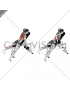 Dumbbell Reverse Grip Incline Bench One Arm Row (female)