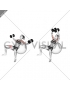 Dumbbell Incline Fly on Exercise Ball (female)