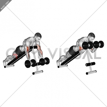 Dumbbell Prone Incline Curl