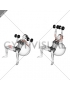 Dumbbell Incline Press on Exercise Ball (female)