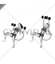 Dumbbell Incline Press on Exercise Ball (female)