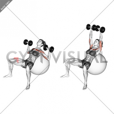 Dumbbell Incline Press on Exercise Ball (female)