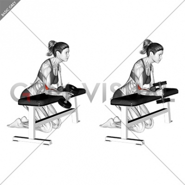 Dumbbell Over Bench One Arm  Neutral Wrist Curl (female)