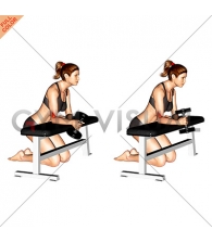 Dumbbell Over Bench One Arm  Neutral Wrist Curl (female)