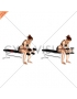 Dumbbell Seated Neutral Wrist Curl (female)