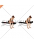 Dumbbell Seated Palms Up Wrist Curl (female)
