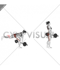 Barbell Single Leg Deadlift (female)