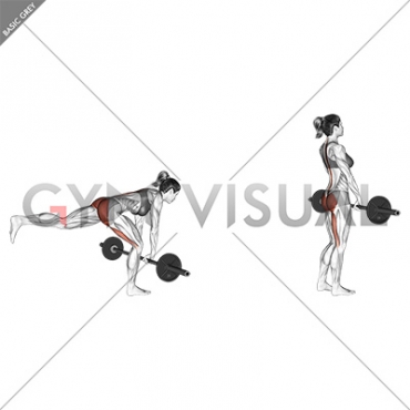 Barbell Single Leg Deadlift (female)