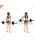 Barbell Rear Delt Raise (female)_shoulder