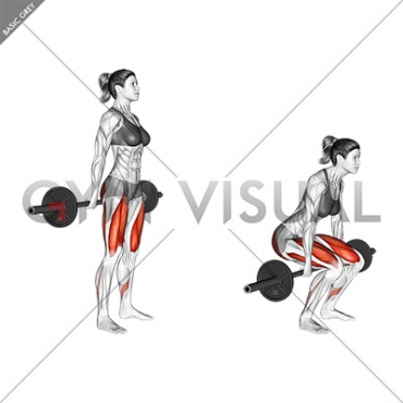 Barbell Hack Squat (female)