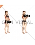 Dumbbell Biceps Curl Reverse (female)