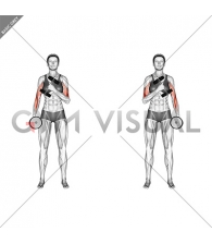 Dumbbell Cross Body Hammer Curl (Version 2) (female)