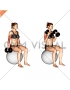Dumbbell Hammer Curl on Exercise Ball (female)
