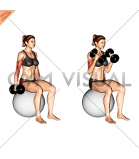 Dumbbell Hammer Curl on Exercise Ball (female)