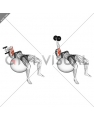 Dumbbell One Arm French Press on Exercise Ball (female)