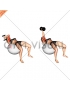 Dumbbell One Arm French Press on Exercise Ball (female)