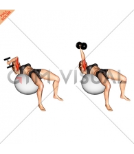 Dumbbell One Arm French Press on Exercise Ball (female)