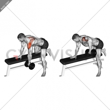 Dumbbell Rear Delt Row_shoulder