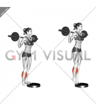 Barbell Standing Calf Raise (female)