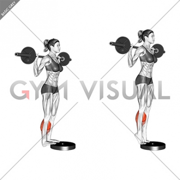 Barbell Standing Calf Raise (female)