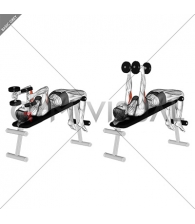 Dumbbell Decline Triceps Extension (female)