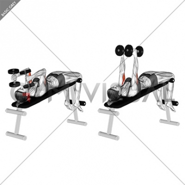 Dumbbell Decline Triceps Extension (female)