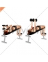 Dumbbell Decline Triceps Extension (female)