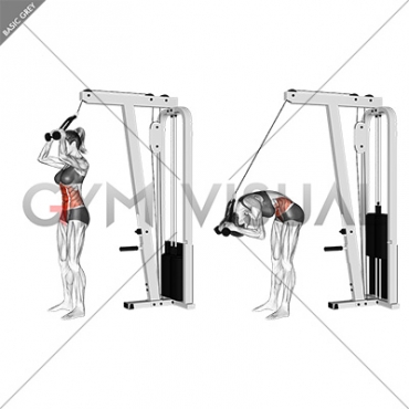 Cable Standing Crunch (with rope attachment) (female)