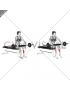 Barbell Seated Calf Raise (female)