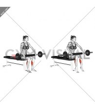 Barbell Seated Calf Raise (female)