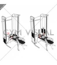 Cable Bench Press (female)