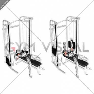 Cable Bench Press (female)
