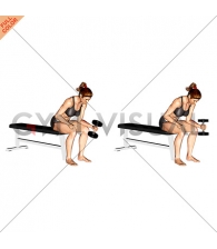 Dumbbell One Arm Seated Neutral Wrist Curl (female)