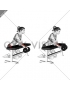 Dumbbell Over Bench One Arm Wrist Curl (female)
