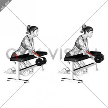 Dumbbell Over Bench One Arm Wrist Curl (female)