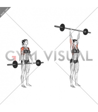 Barbell Standing Front Raise Over Head (female)