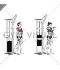Cable One Arm Front Raise (female)