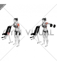 Dumbbell One Arm Lateral Raise (female)